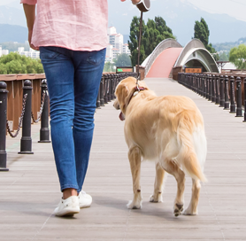 반려인과 반려동물·산업의 권익과 안전 복지를 우선으로 하는 기관