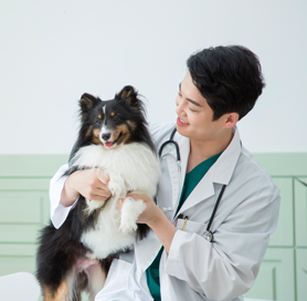 반려동물산업 및 영양관련 교육 및 관련 프로그램 개발 및 법안 발의