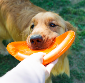 체계적인 교육 전문가 양성을 위해 자격검정체계 수립
