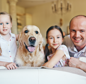 국내외 관련 단체와의 제휴 및 산학협동을 증진